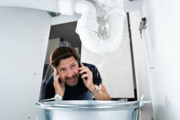 Best Emergency Plumbing Repair  in Elk Grove Vlage, IL
