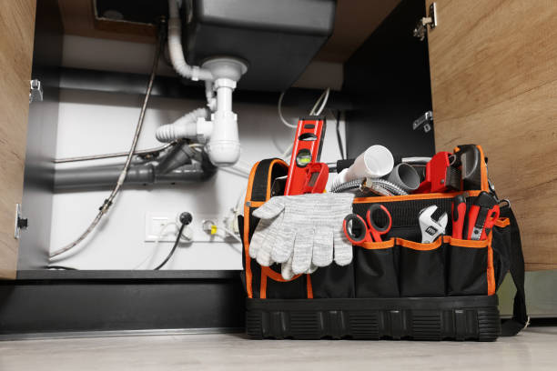 Best 24-Hour Plumber Near Me  in Elk Grove Vlage, IL