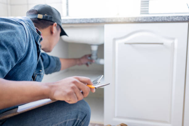Best Pipe Repair Near Me  in Elk Grove Vlage, IL