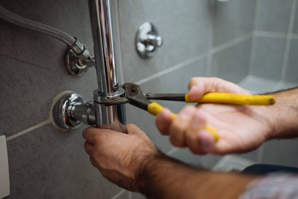 Best Septic Systems  in Elk Grove Vlage, IL