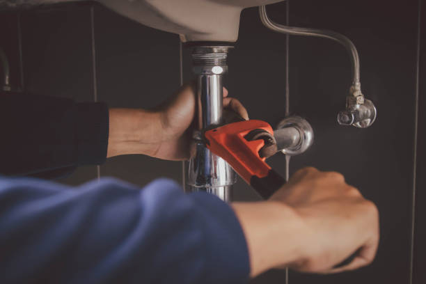 Best Commercial Plumbing Services  in Elk Grove Vlage, IL