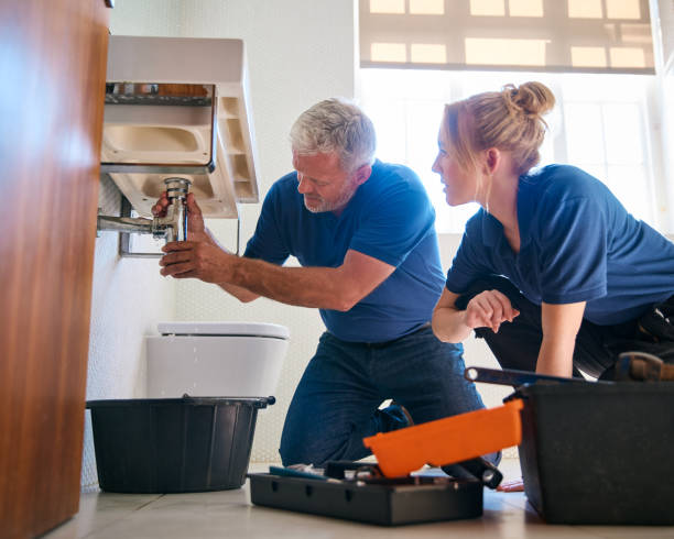 Best Plumbing Inspection Services  in Elk Grove Vlage, IL