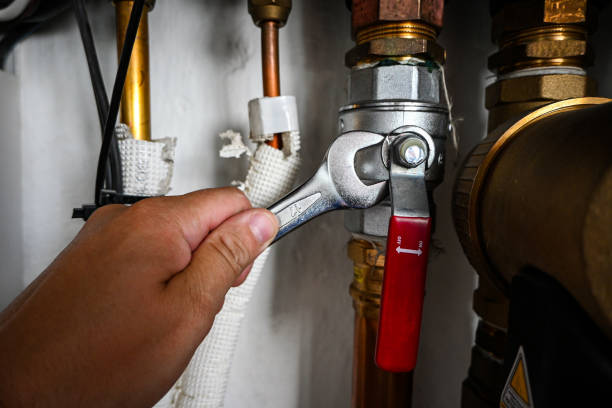 Best Leak Detection Services  in Elk Grove Vlage, IL